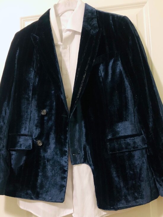 EACH OTHER Soft Fine Shimmer Striped Navy Velvet Blazer Jacket Size S - Picture 3 of 6